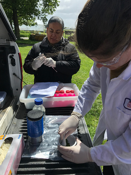 Image of two people conducting testing in a field