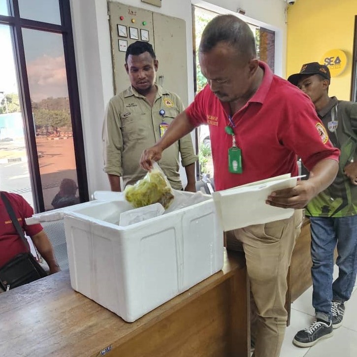 Image of a person examining something in a white box