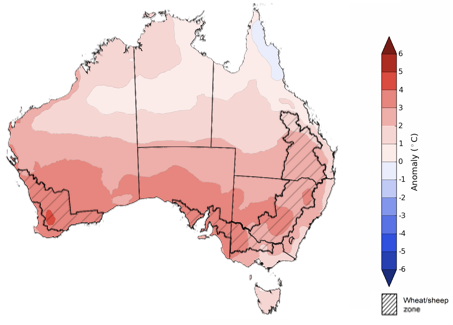 Map showing the predicted maximum temperature anomaly for the next week in Australia. Image provided by the Bureau of Meteorology. Please refer to accompanying text for a more detailed description.