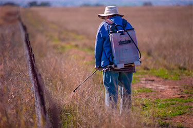 The Australian Government is investing $10 million in programs to tackle pest animals and weeds for farmers and communities in drought conditions.