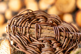 Close up image of handwoven basket base woven from pliable dried wisteria stems.
