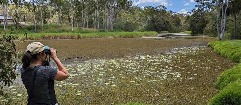 Michelle Wille looks through binoculars along a river full of plants and green grassy banks.