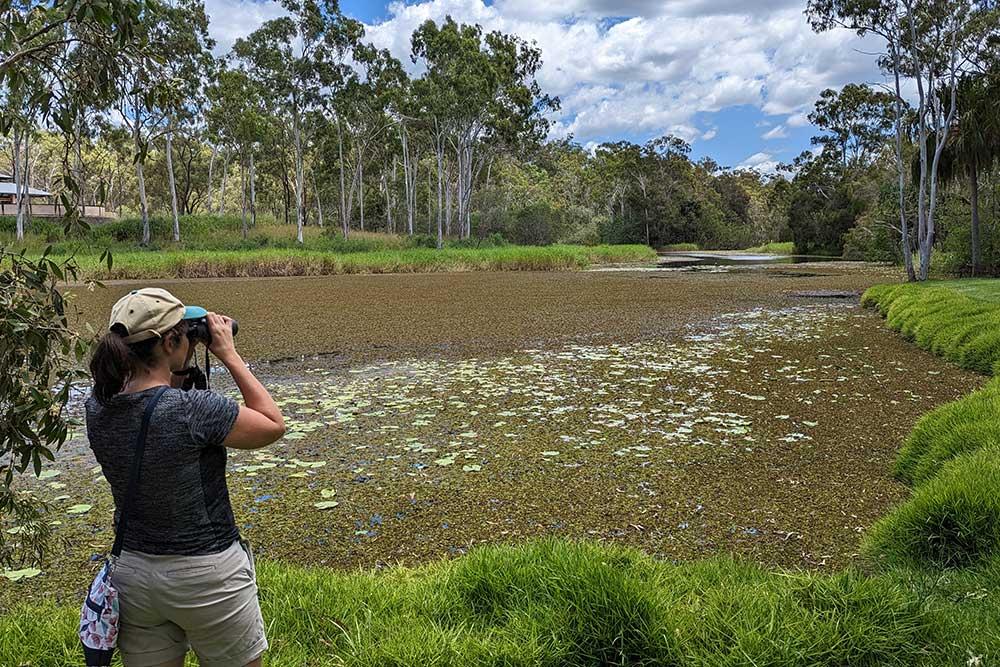 Michelle Wille looks through binoculars along a river full of plants and green grassy banks.