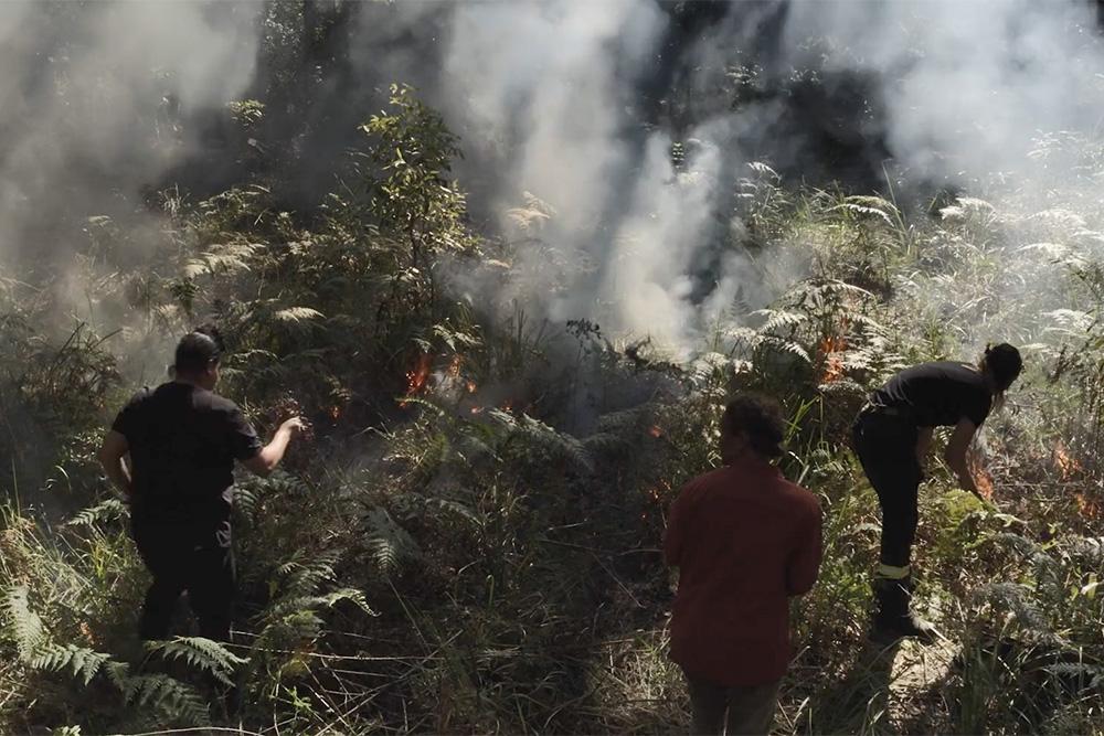 Still from ‘Roots of ‘Resilience’ - cultural burning practices for forest management