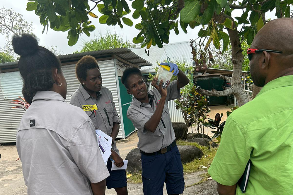 Image of a group of people standing around a tree, with one person demonstrating how to hang a flu trap - cut off image