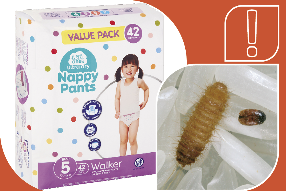 Image of nappy pants and khapra beetle larvae