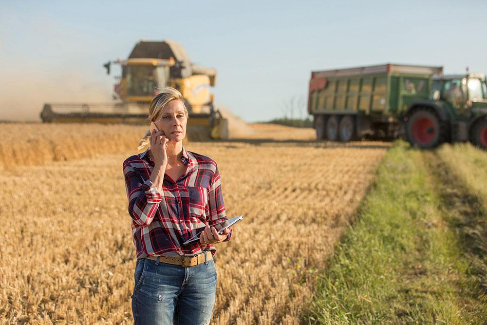 Farmer stands in a field