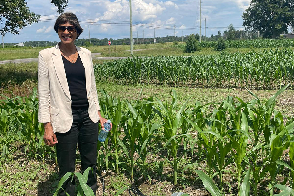 Image of a person standing in a field with lots of green crops