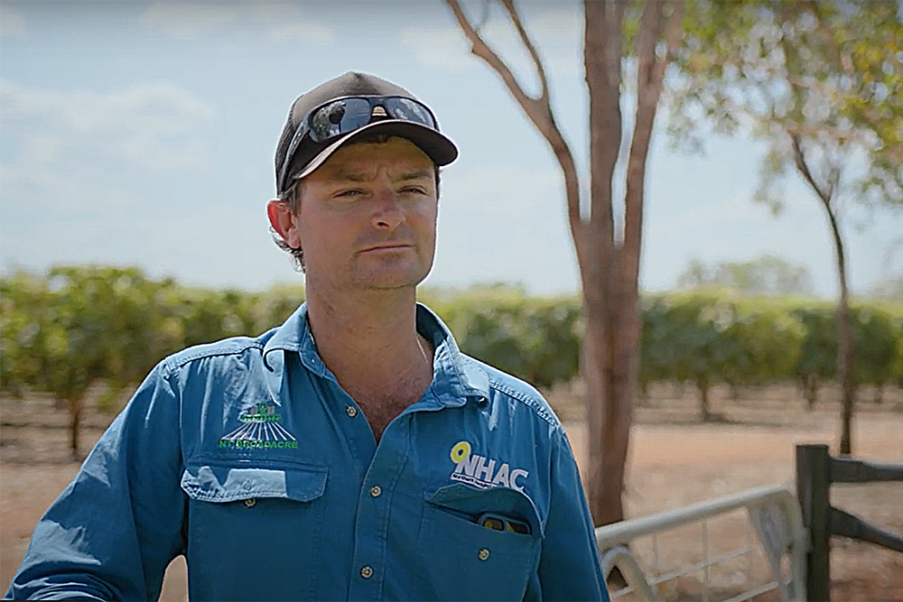 Image of a person standing outside in a paddock under a large tree