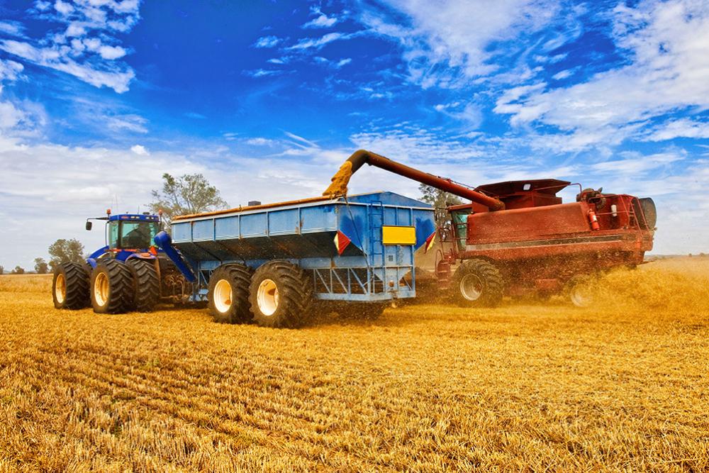 Image of a large machine harvesting grain in the middle of a field