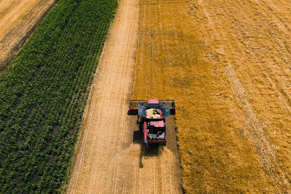 Image taken from above of a field, some dark green foliage and some golden crops, with a tractor harvesting the crops