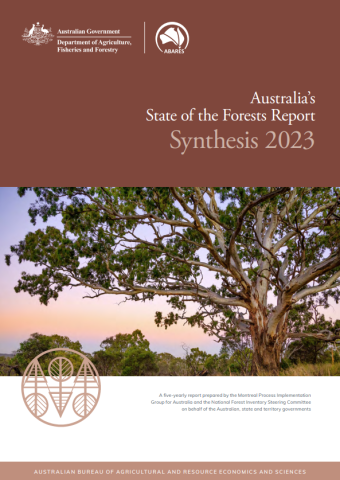 Cover of Australia's State of the Forests Report Synthesis 2023, showing a tree in an evening sky.