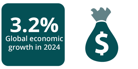 Economic Overview infographic