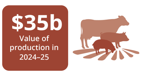 Outlook for Livestock infographic